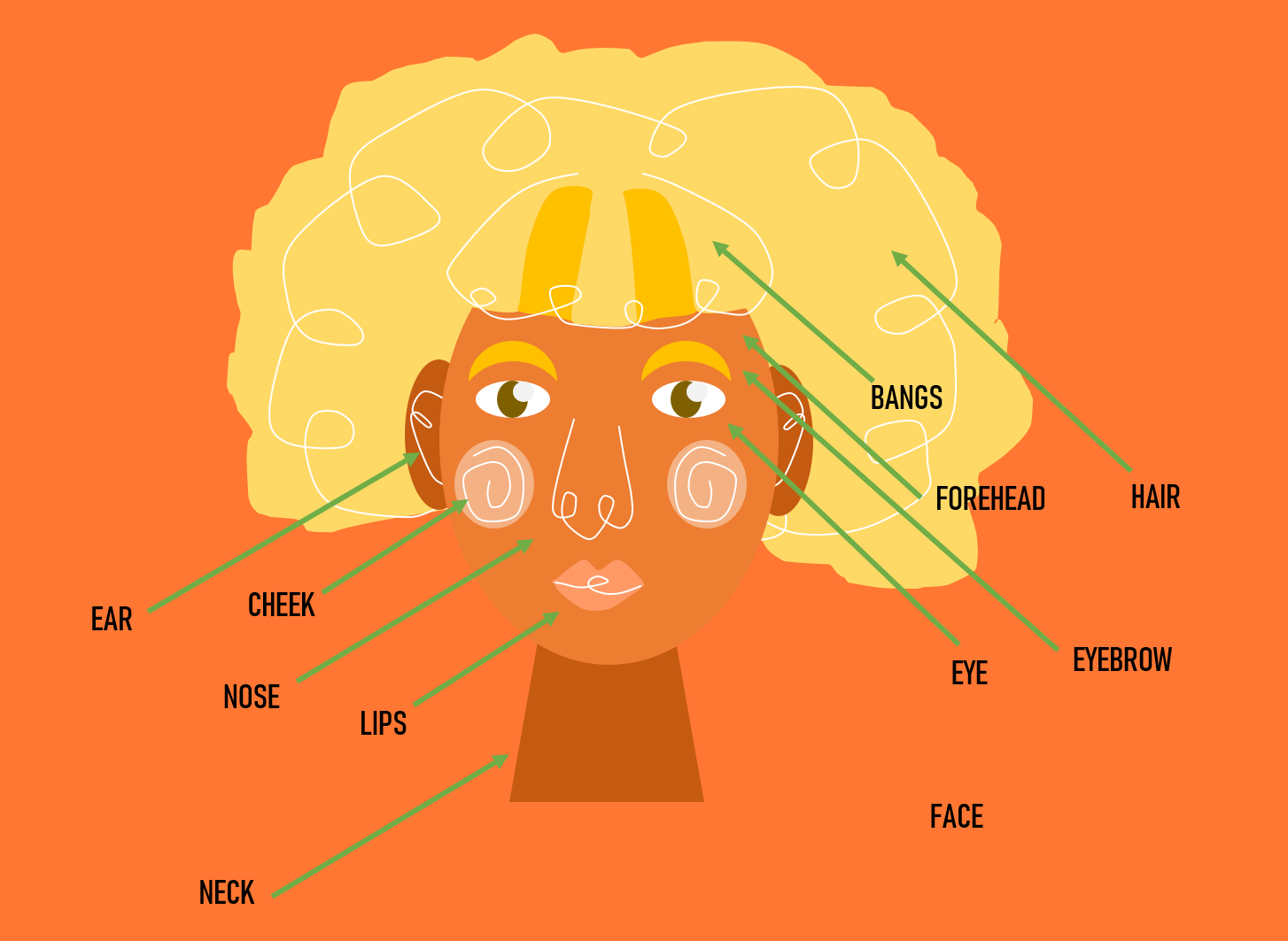 Body parts » sciencebird.org